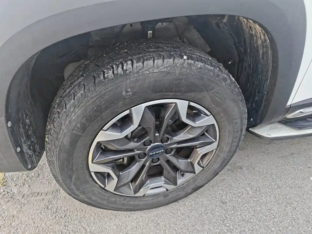 Haval Dargo 2021 2021 2.0T DCT AWD Howling Celestial Dog Edition