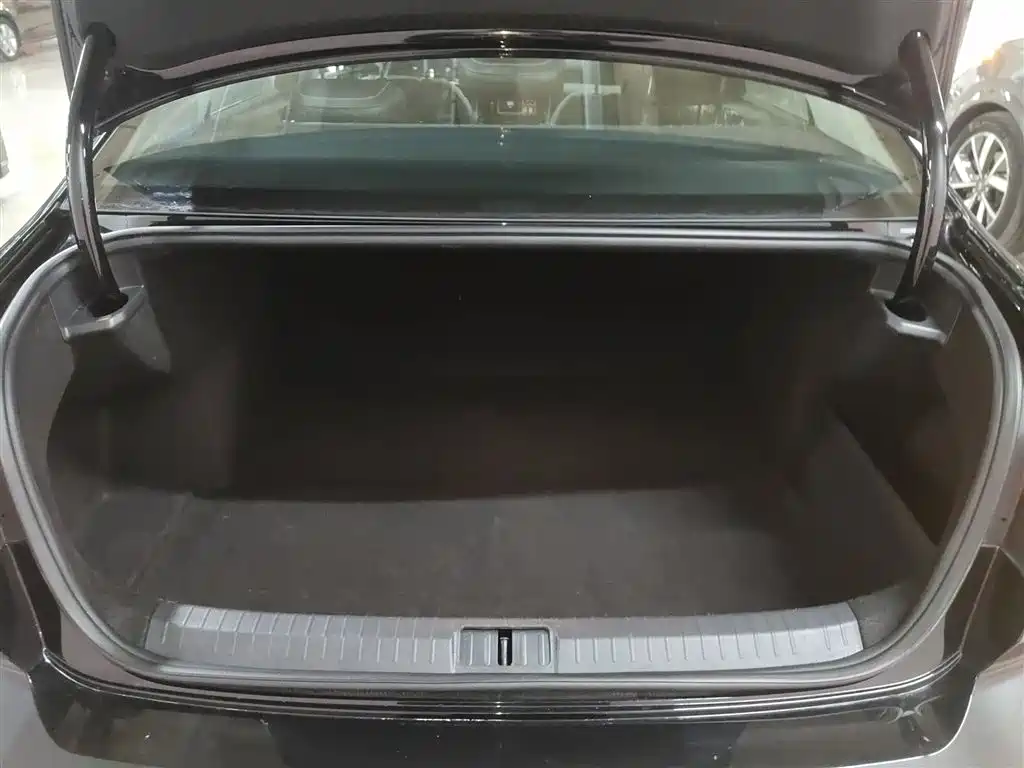 Volkswagen Magotan 2025 Popular Edition 280TSI DSG Comfort фото 18