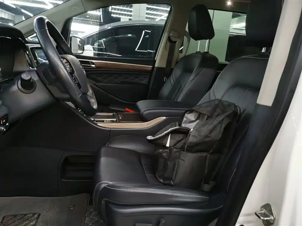 GAC Trumpchi Trumpchi M8 2020 Pilot 390T Prestige Edition фото 7