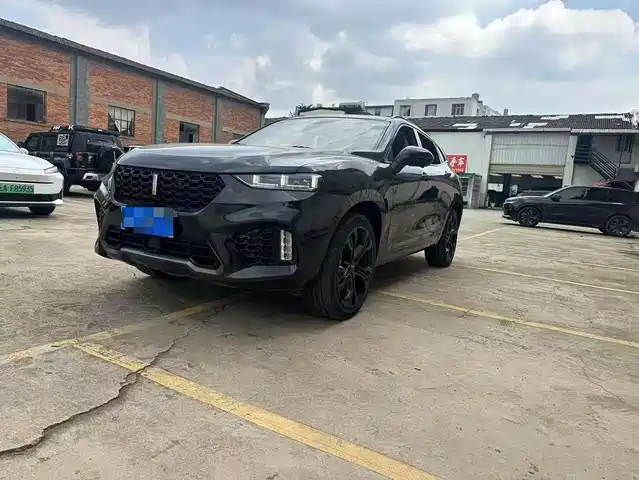 WEI PAI WEI BRAND VV7