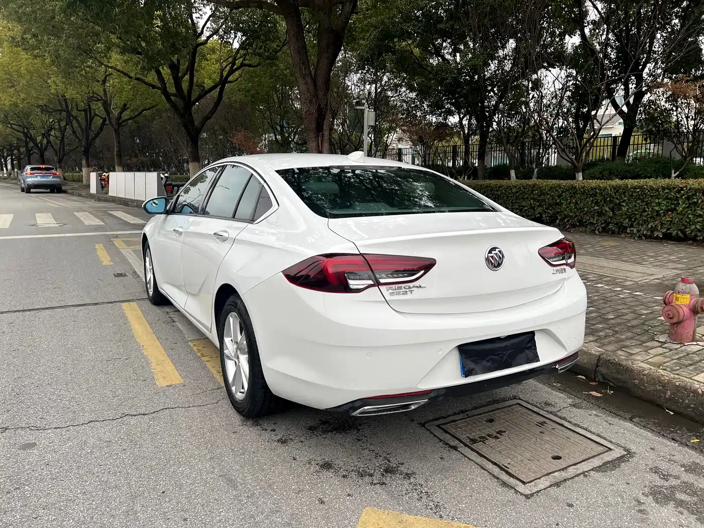 Buick Regal 2020 552T Elite фото 5