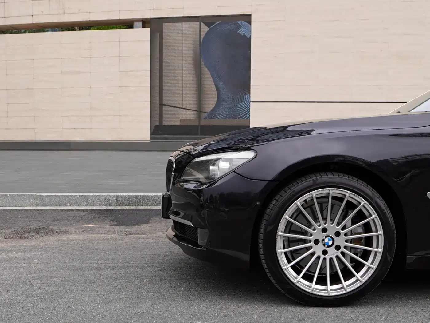 BMW 7 Series 2009 750Li Luxury фото 16