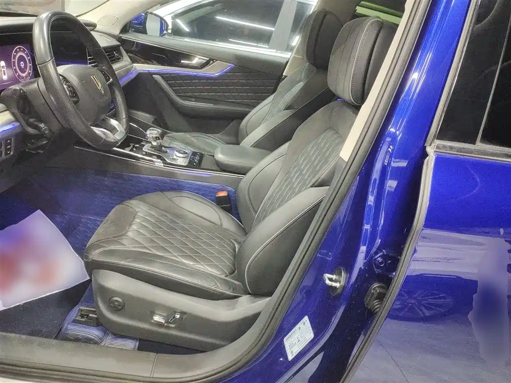 Hongqi HS5 2019 2.0T Smart Connect Enjoy 4WD Edition фото 11