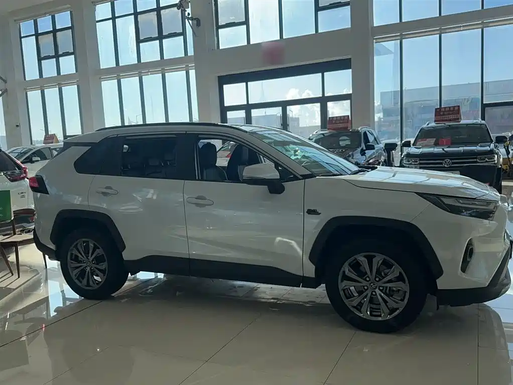 Toyota RAV4 Rongfang 2023 2.0L CVT 2WD 20th Anniversary Platinum Edition фото 14