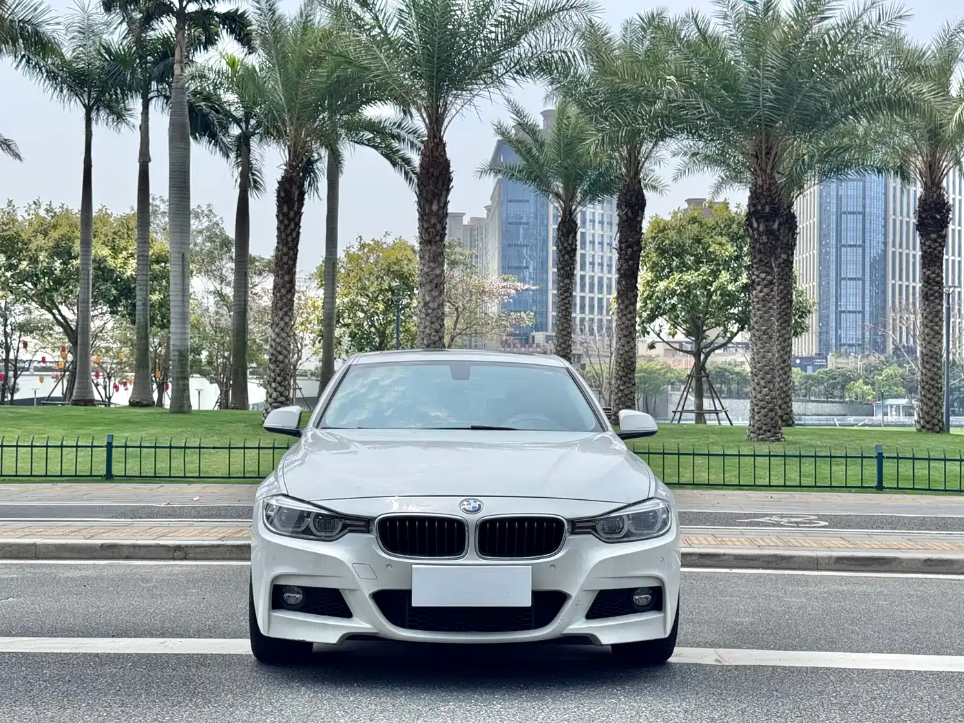 BMW 3 Series 2018 320Li Leading M Sport Package фото 2