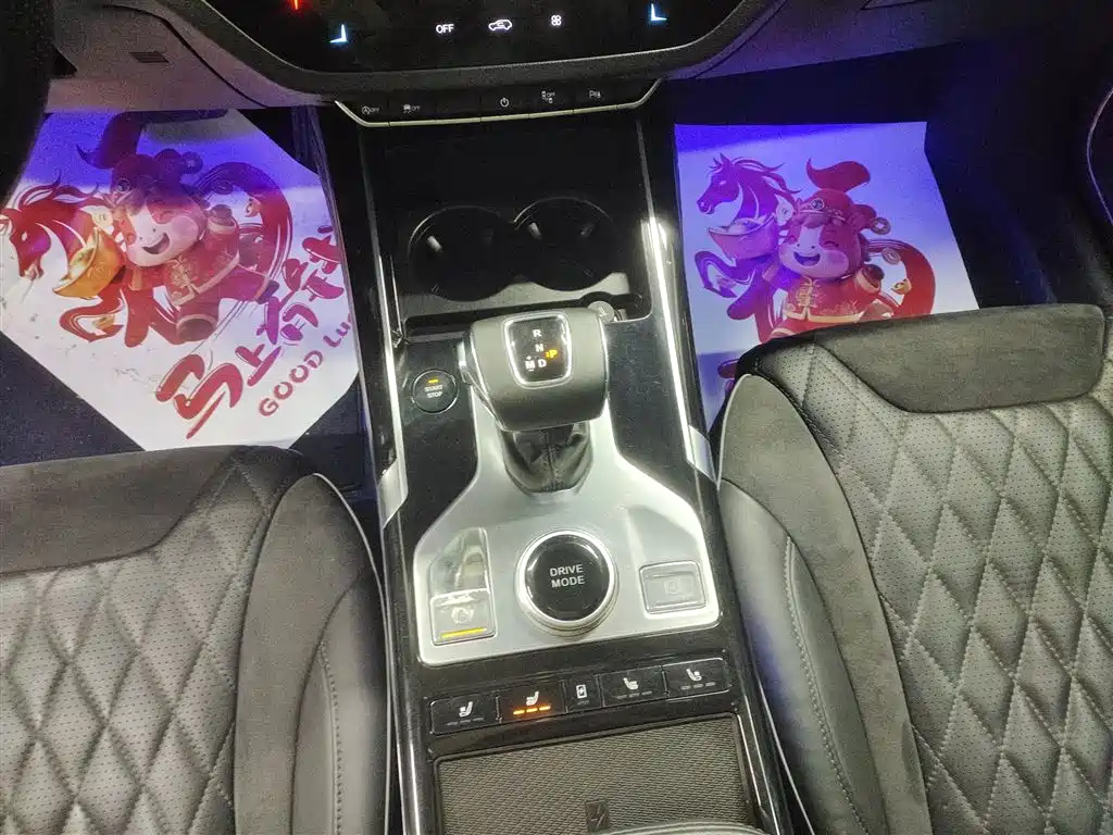 Hongqi HS5 2019 2.0T Smart Connect Enjoy 4WD Edition фото 10