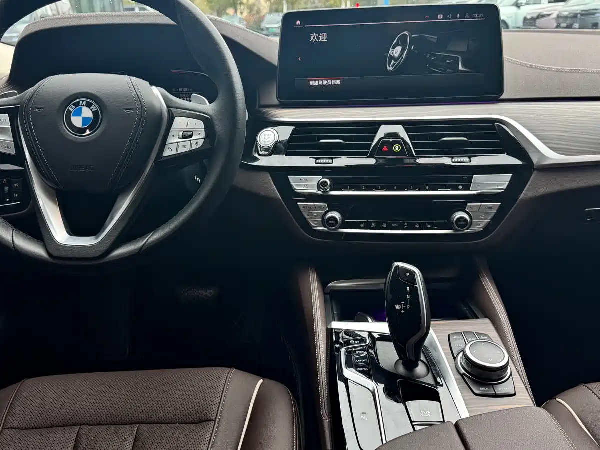 BMW 5 Series 2022 530Li Leading Luxury Package фото 8