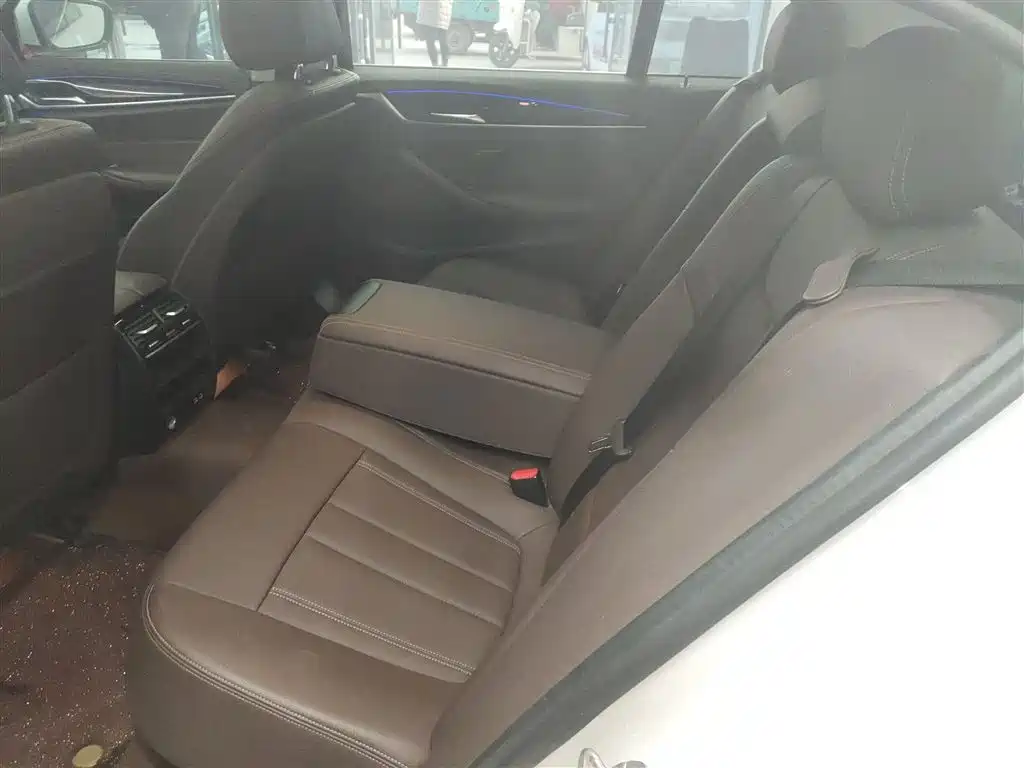 BMW 5 Series 2020 525Li Luxury Package фото 13