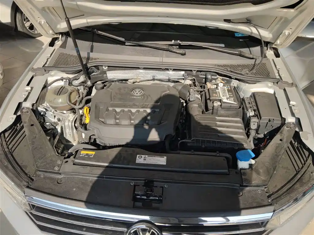 Volkswagen Magotan 2019 330TSI DSG Leading China V фото 10