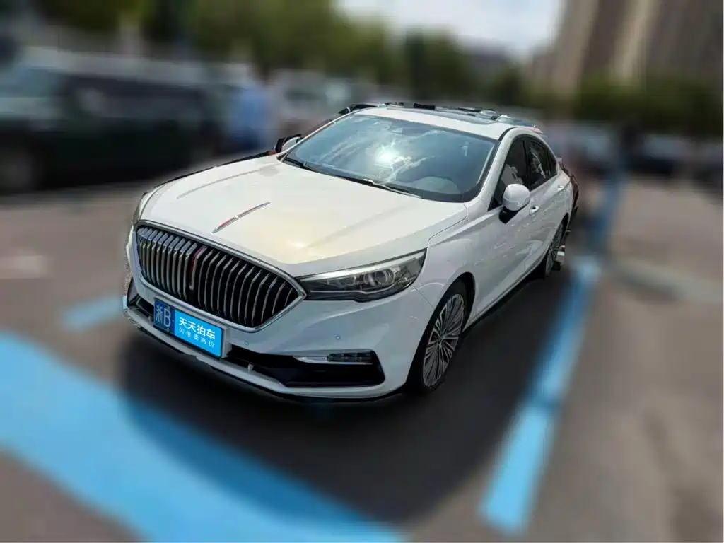 Фото 1 - Hongqi H5