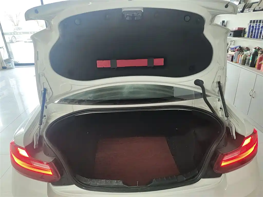 BMW 2 Series (Import) 2015 218i фото 19
