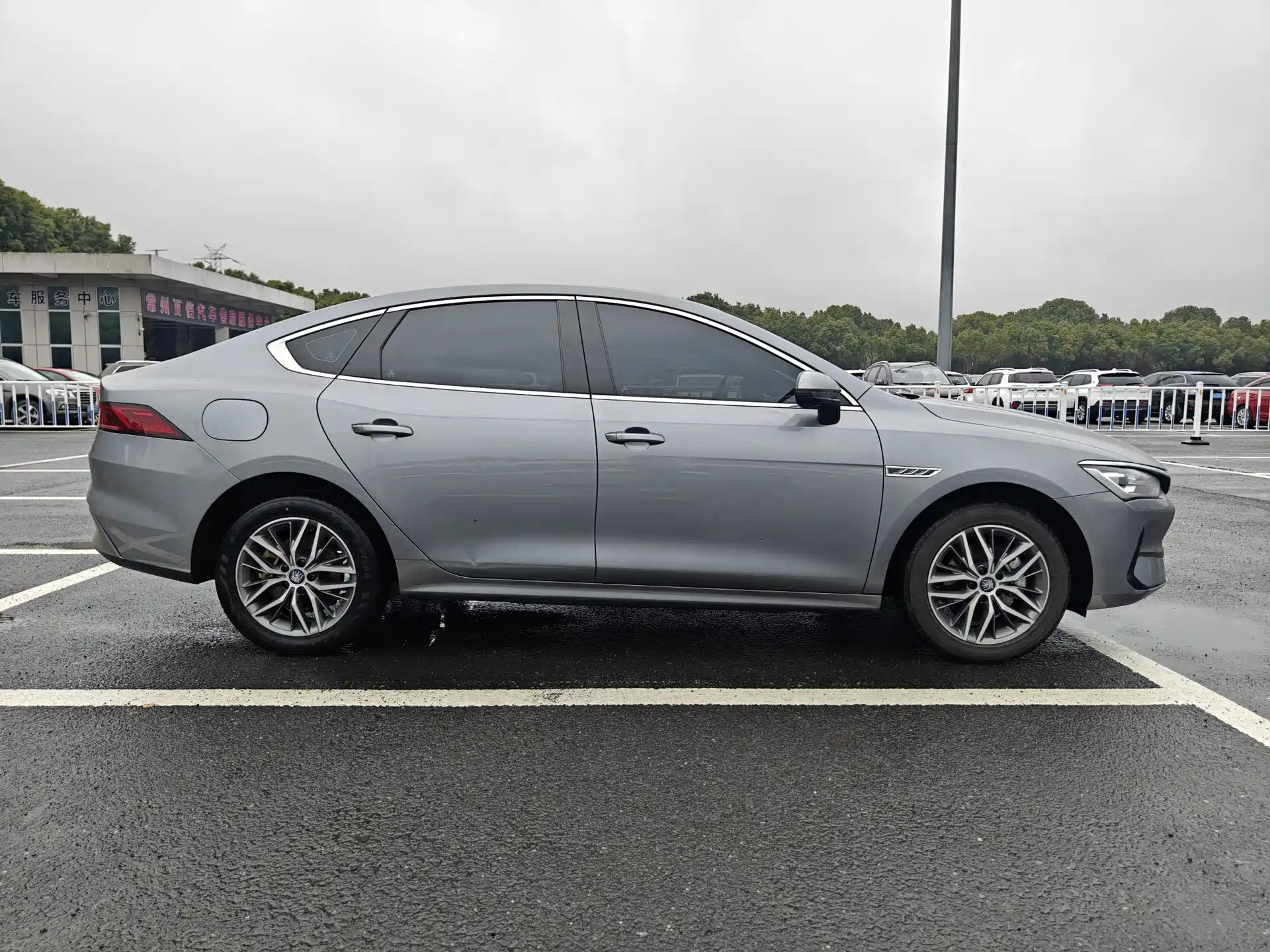 Фото 4 - BYD Qin PLUS