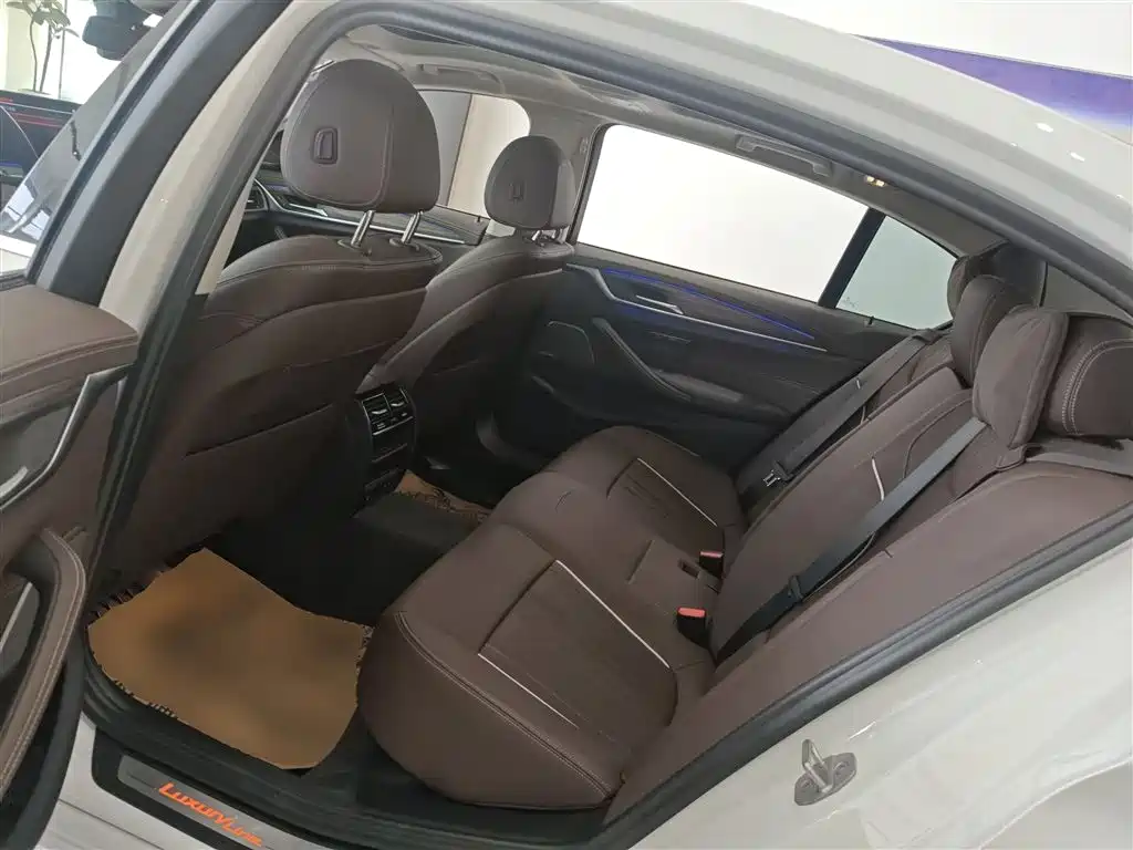 BMW 5 Series 2023 530Li Leading Luxury Package фото 14