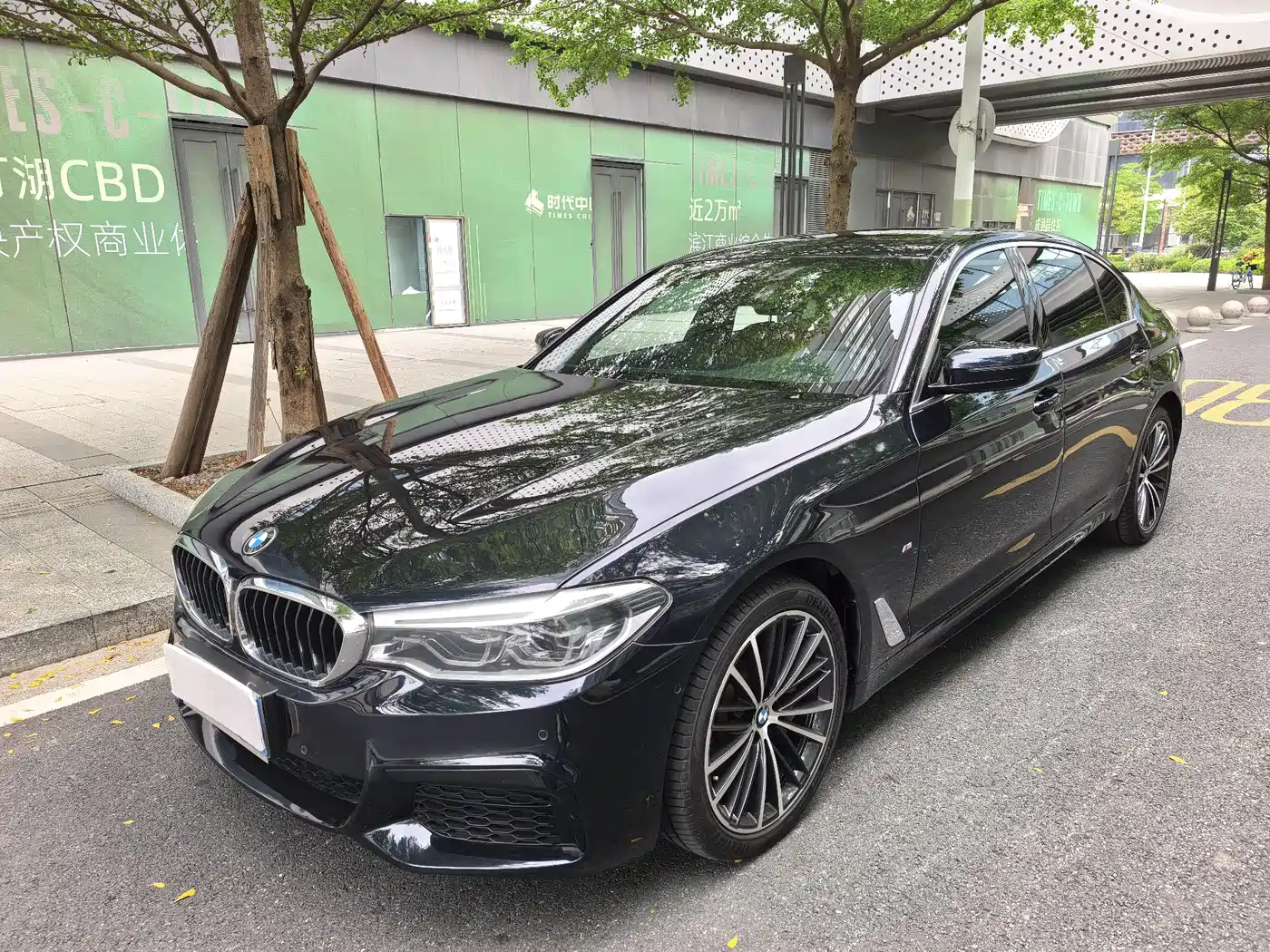 BMW 5 Series 2020 530Li Leading M Sport Package
