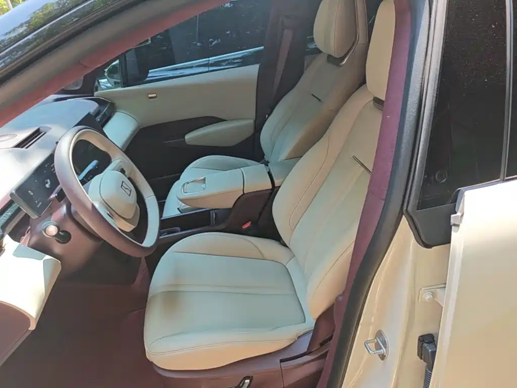 ZEEKR X 2023 2023 RWD YOU Edition 4-seater