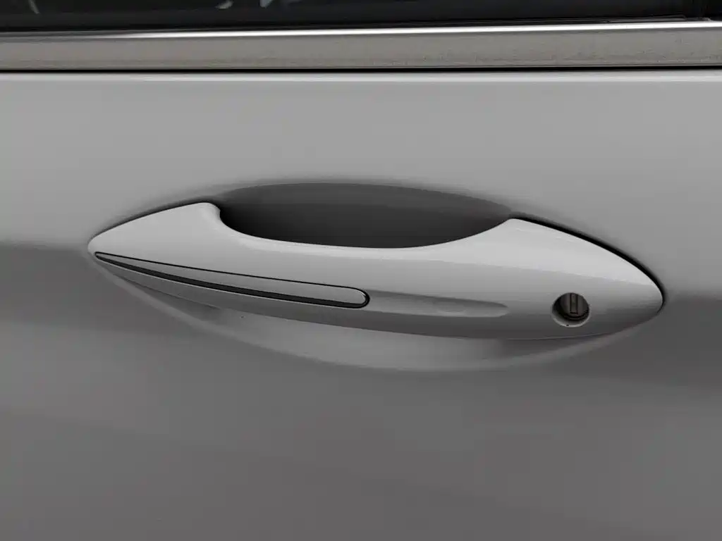 Geely Borui 2019 2018 1.5T MHEV Premium Edition