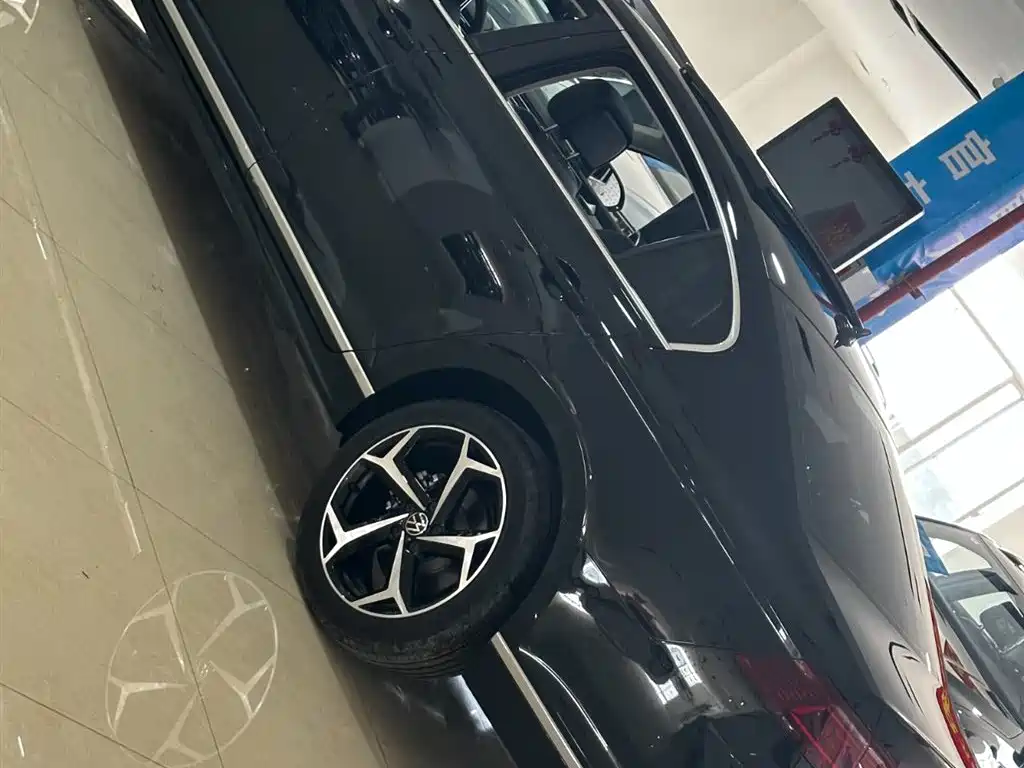 Volkswagen Magotan 2025 Popular Edition 330TSI DSG Luxury фото 23