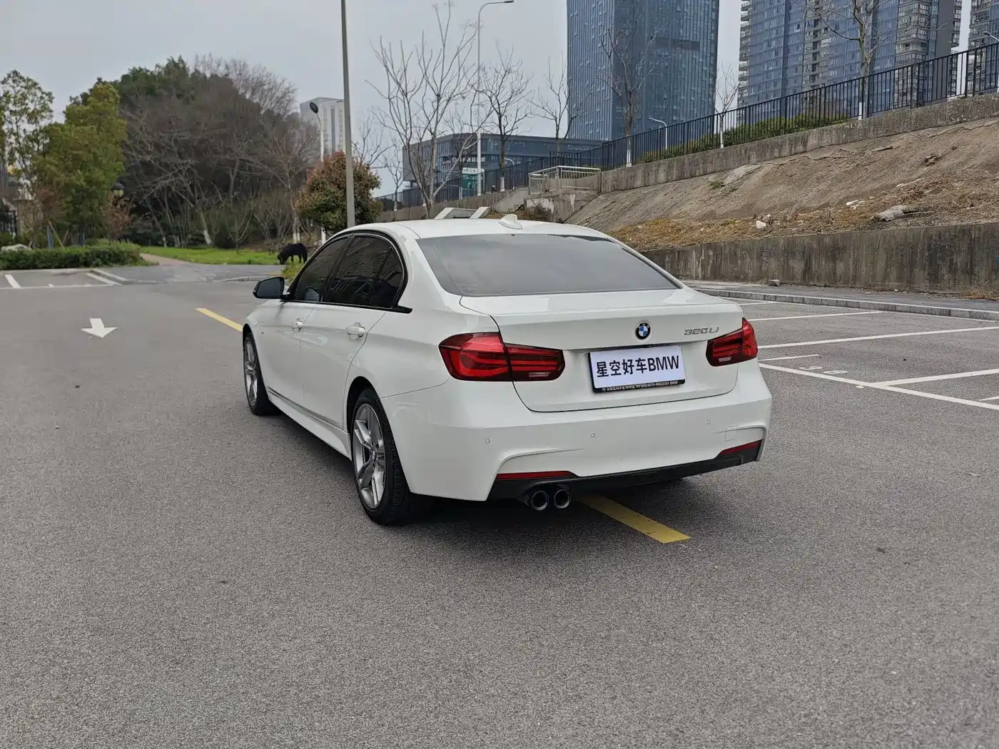 BMW 3 Series 2018 320Li M Sport Black Night Edition фото 16