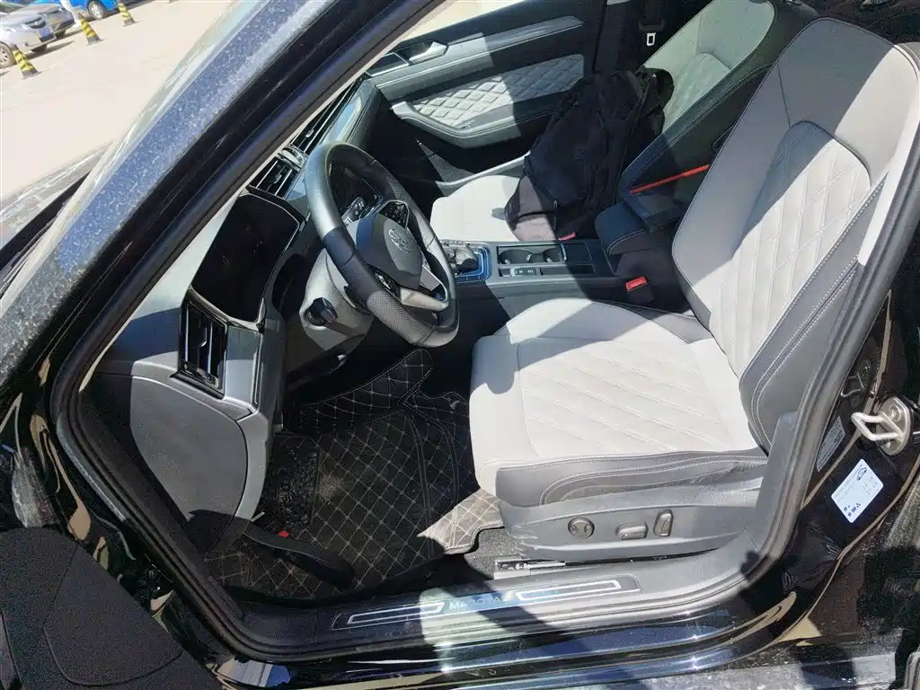 Volkswagen Magotan 2025 Facelift Public Edition 280TSI DSG Luxury фото 15