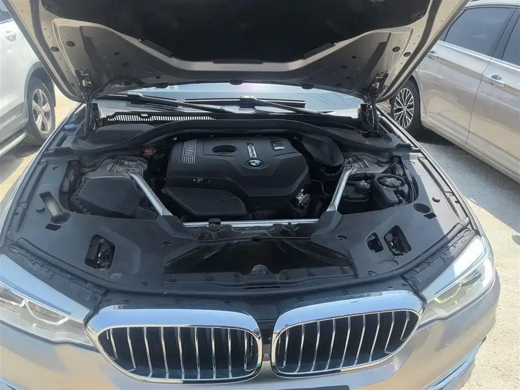 BMW 5 Series 2019 530Li Premium Luxury Package фото 16