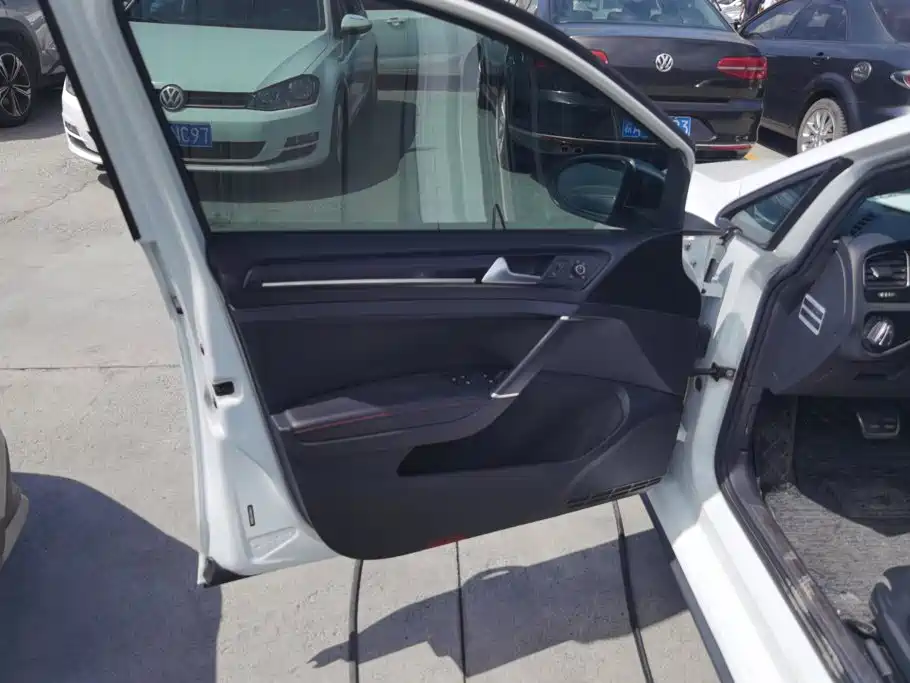 Volkswagen Golf GTI 2016 2016 2.0TSI GTI