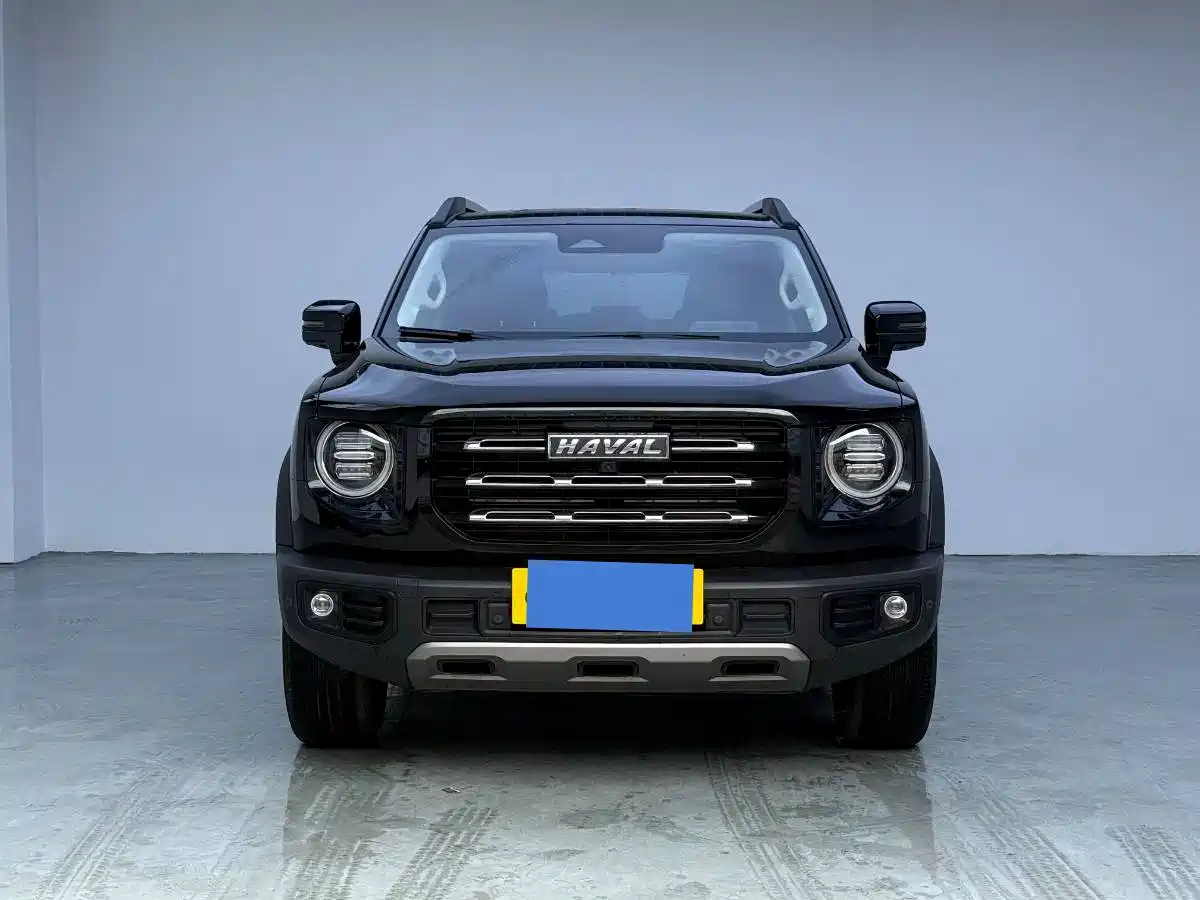 HAVAL BIG DOG