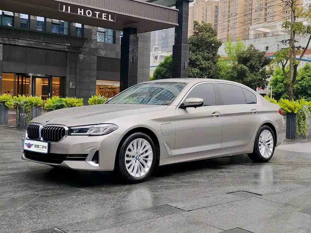 BMW 5 Series New Energy 2021 535Le Luxury Package