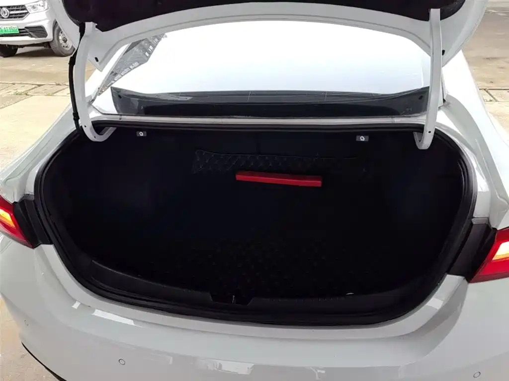 Chevrolet Malibu XL 2018 530T Auto RuiChi Edition фото 19
