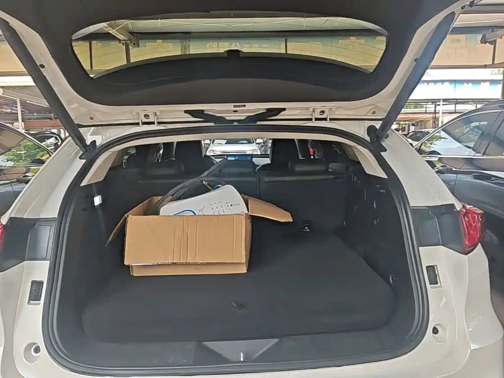 WEY VV7 New Energy 2020 2020 PHEV 2.0T Flagship Model