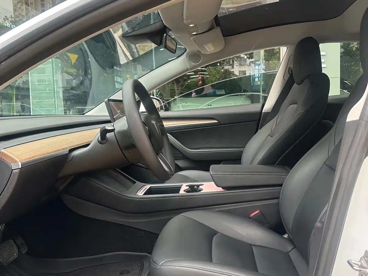 Tesla Model 3 2020 2020 Standard Range Rear-Wheel Drive Upgrade