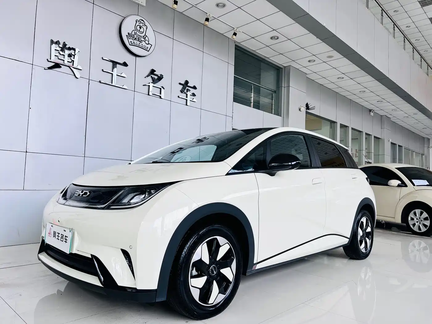 BYD Dolphin 2023