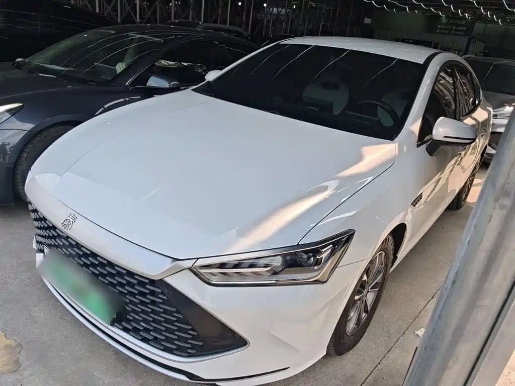 BYD Qin PLUS 2023 Champion Edition DM-i 55KM Leading