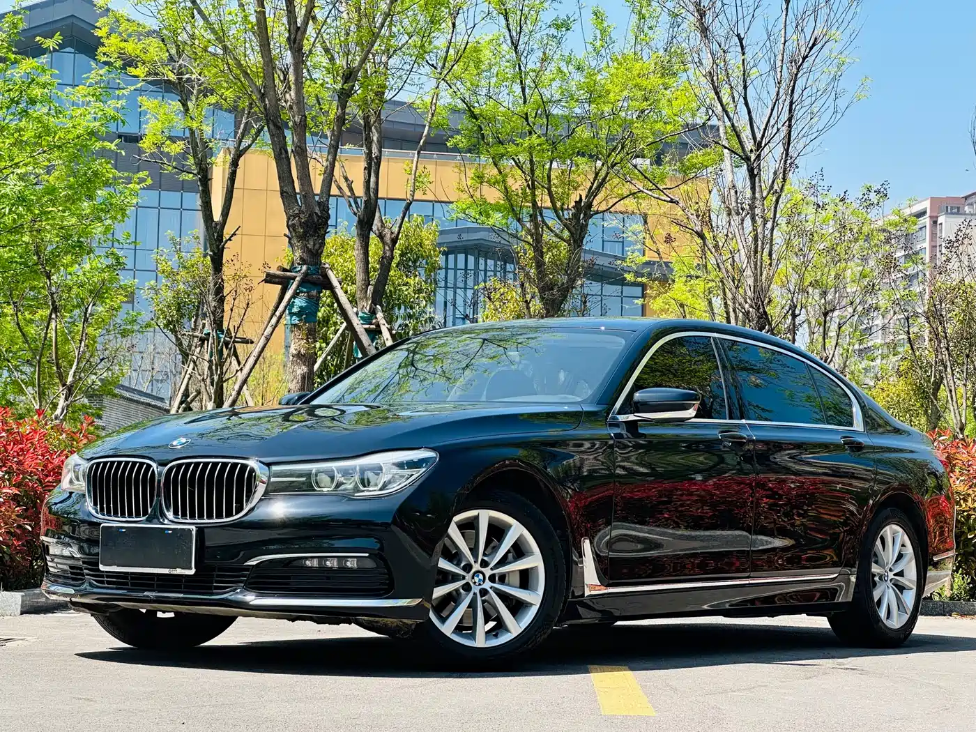 BMW 7 Series 2016 730Li Leading фото 10
