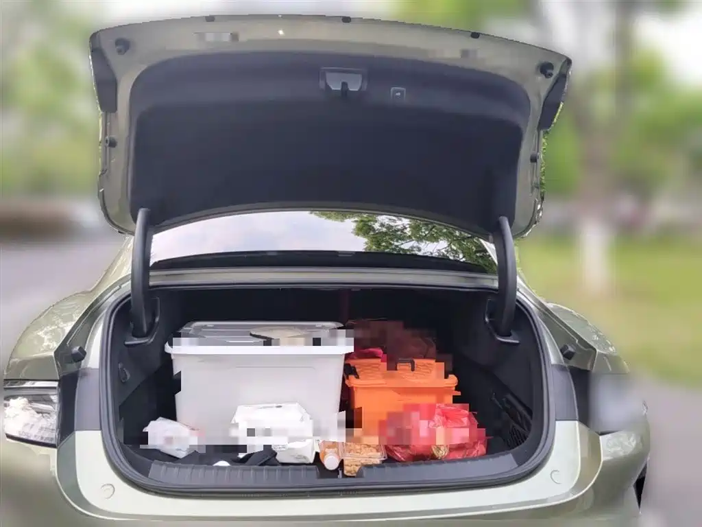 Xiaomi Auto Xiaomi SU7 2024 AWD Extended Range Advanced Smart Driving Max Edition фото 10