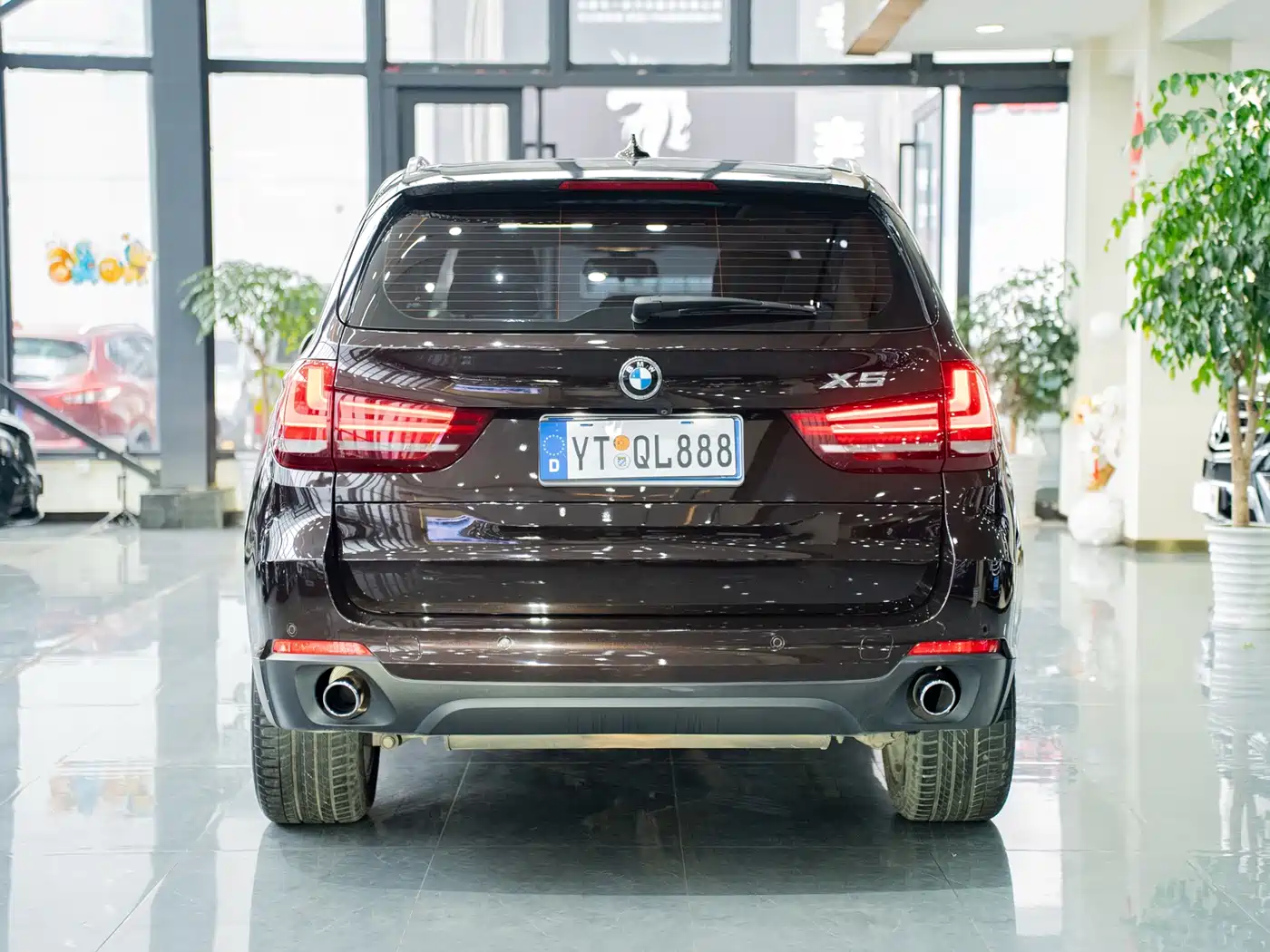 BMW X5 (Import) 2014 xDrive35i Elegance фото 7