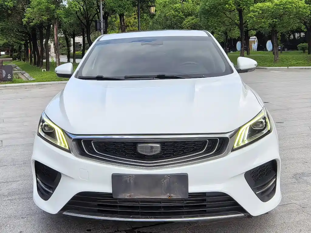Фото 2 - Geely Binrui