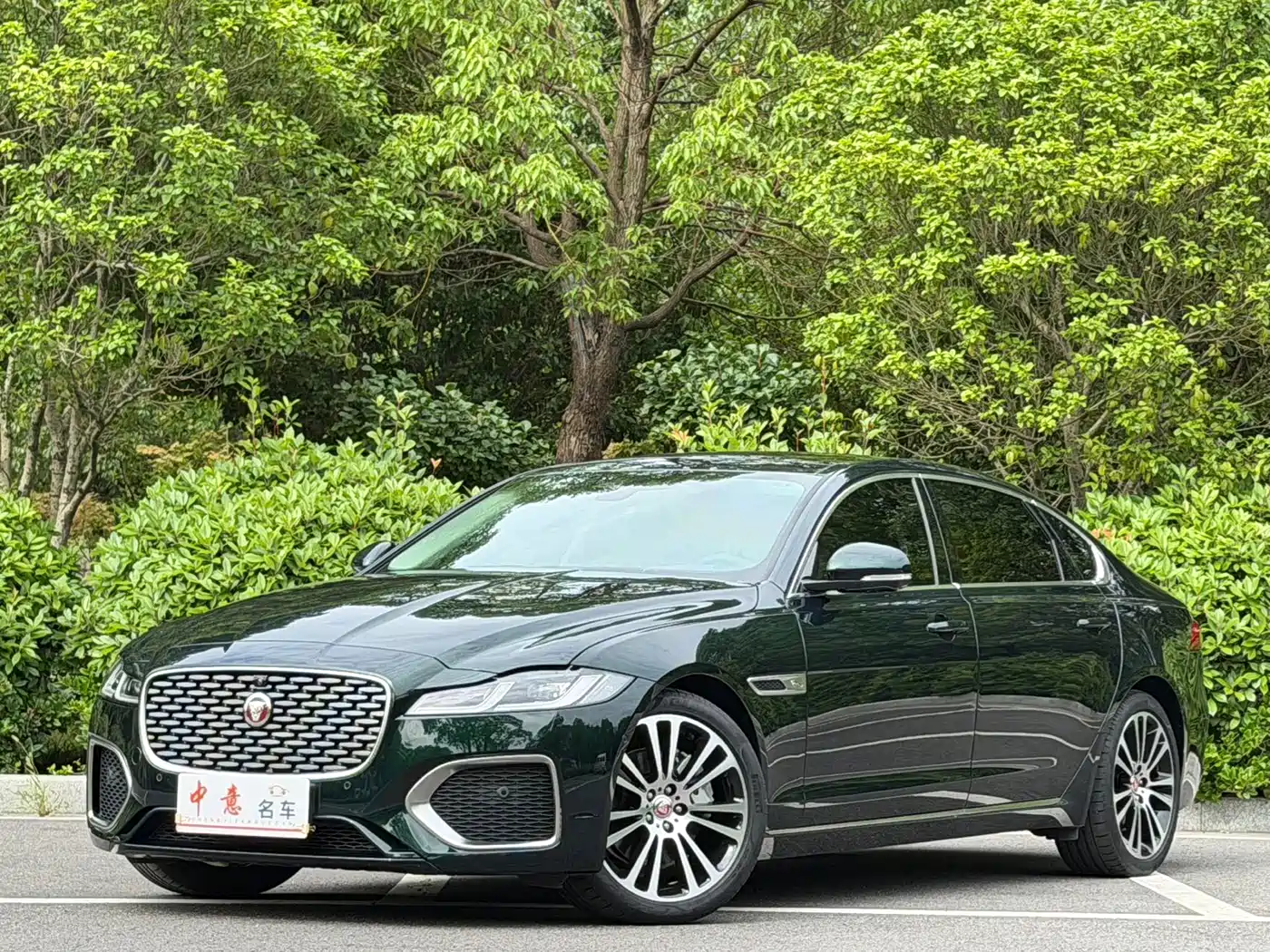 Jaguar XFL 2024 2024 2.0T P250 2WD Premium Luxury