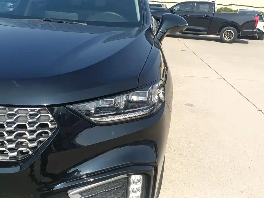 WEI PAI WEI BRAND VV5