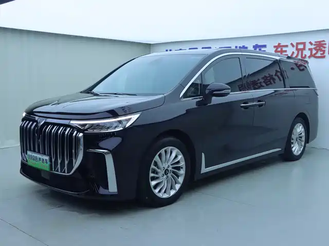 Voyah Auto Voyah Dreamer 2023