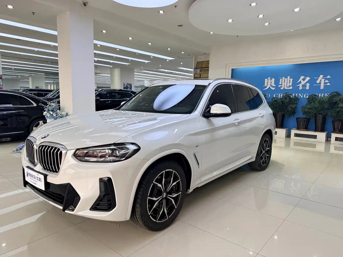 BMW X3 2023 xDrive25i M Sport Package