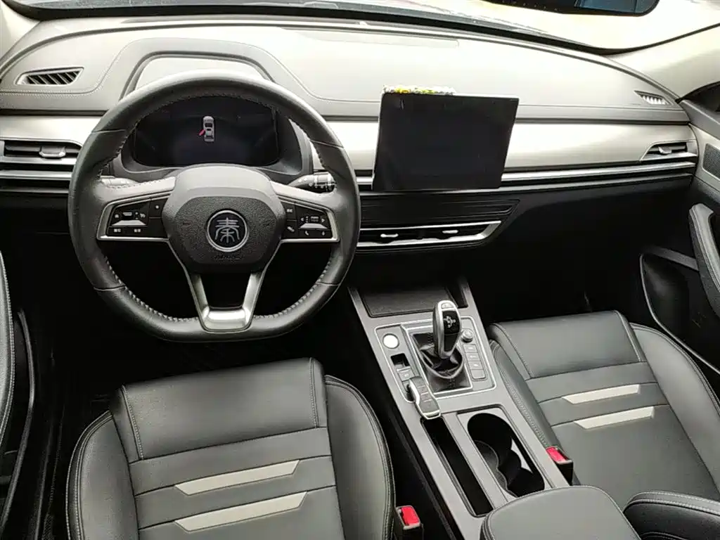BYD Qin Pro 2020 Surpass Edition 1.5TI Automatic Flagship фото 10