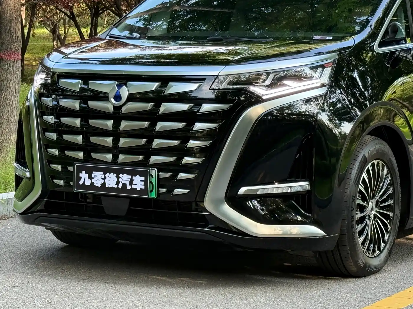 Denza D9 2025 2024 DM-i 980 AWD Premium