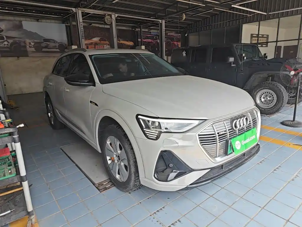 Audi e-tron 2023 2021 50 quattro Luxury