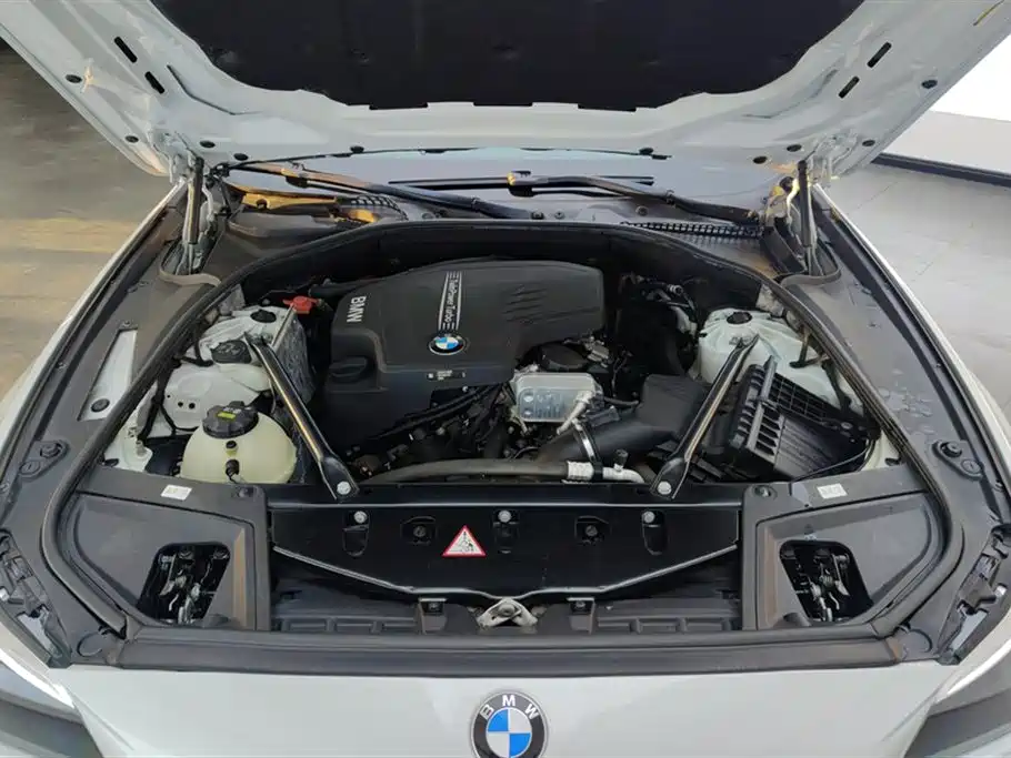 BMW 5 Series 2014 525Li Luxury Design Package фото 10