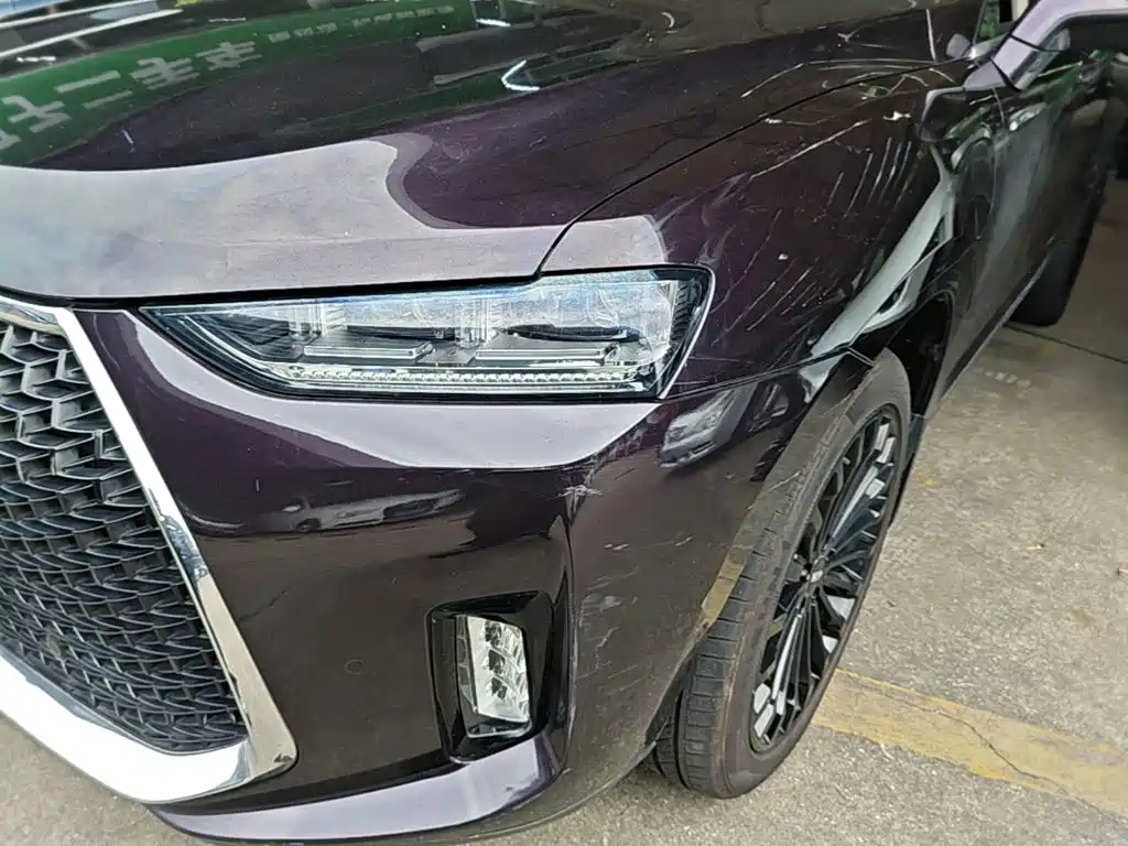 WEY P8 2019 2018 2.0T Flagship Model