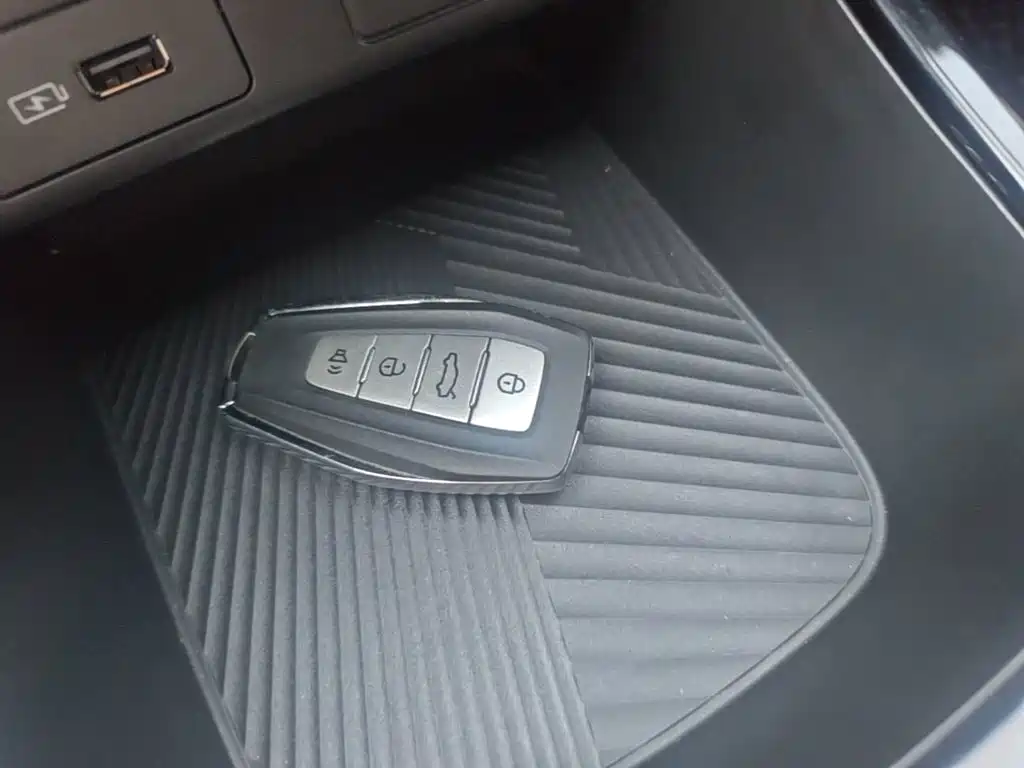 Geely Geometry E Firefly 2023 2023 401KM Super Fan Special Edition 5-Seater