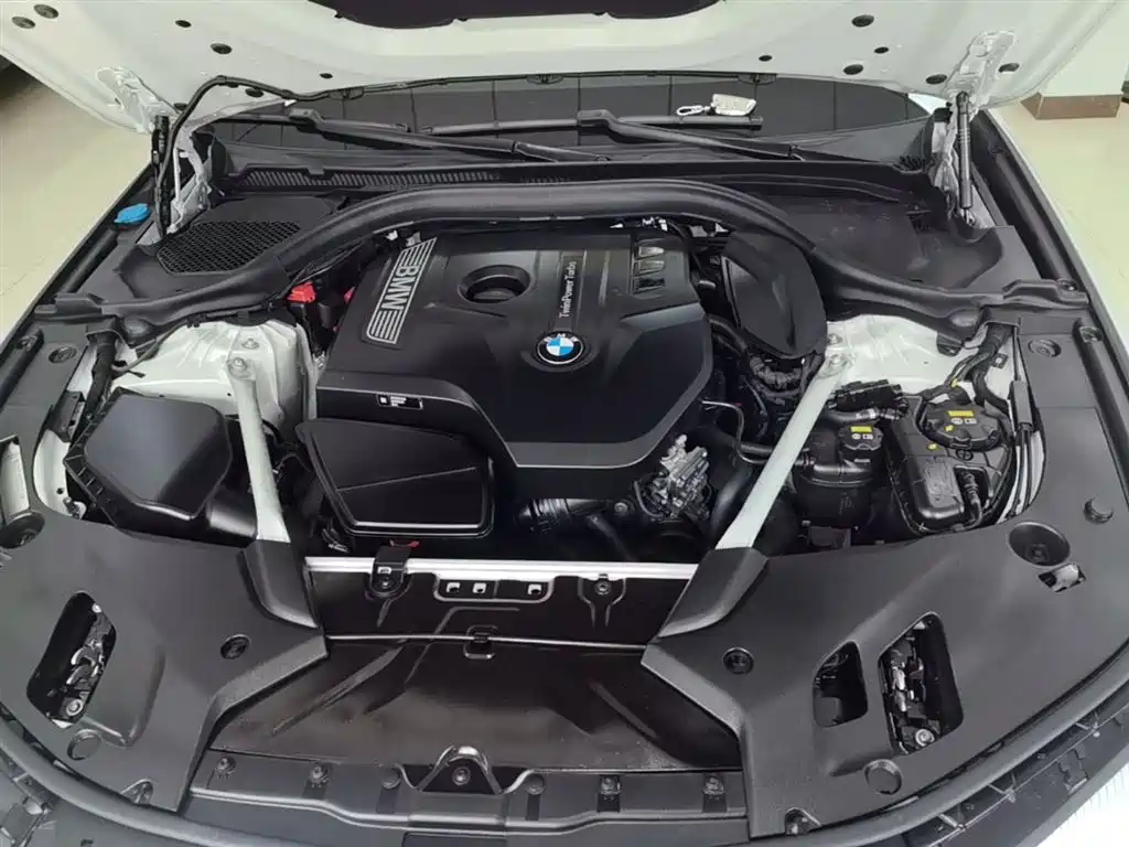 BMW 5 Series 2019 525Li M Sport Package фото 20