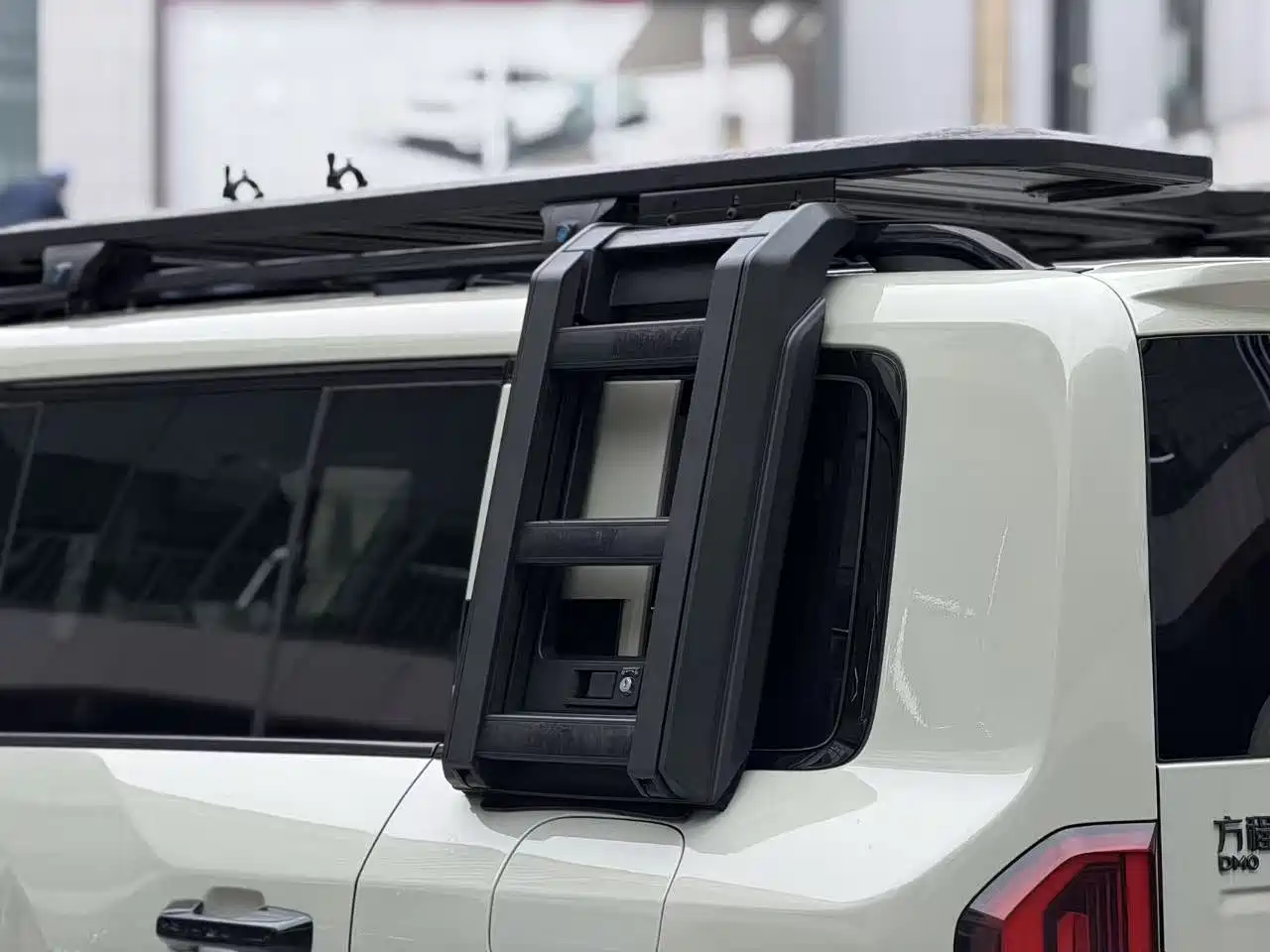 FANG CHENG BAO LEOPARD 5