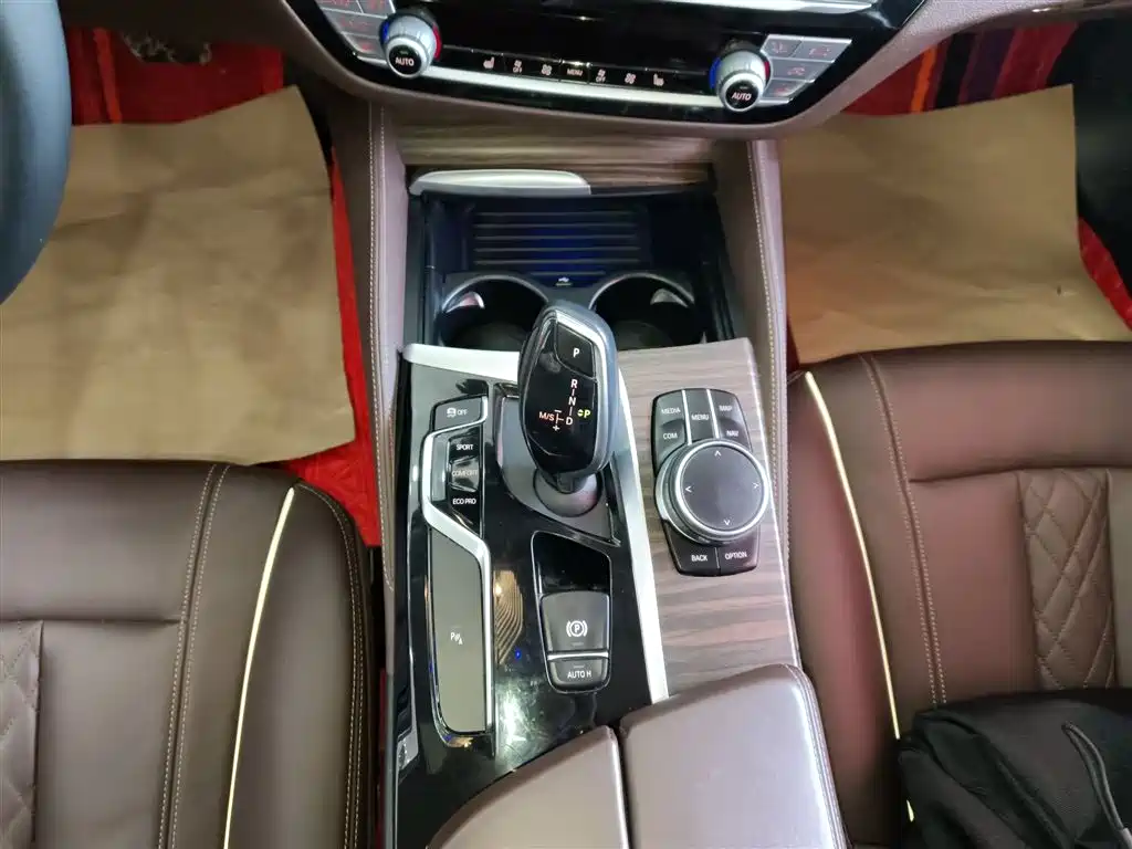 BMW 5 Series 2019 530Li xDrive Luxury Package фото 10