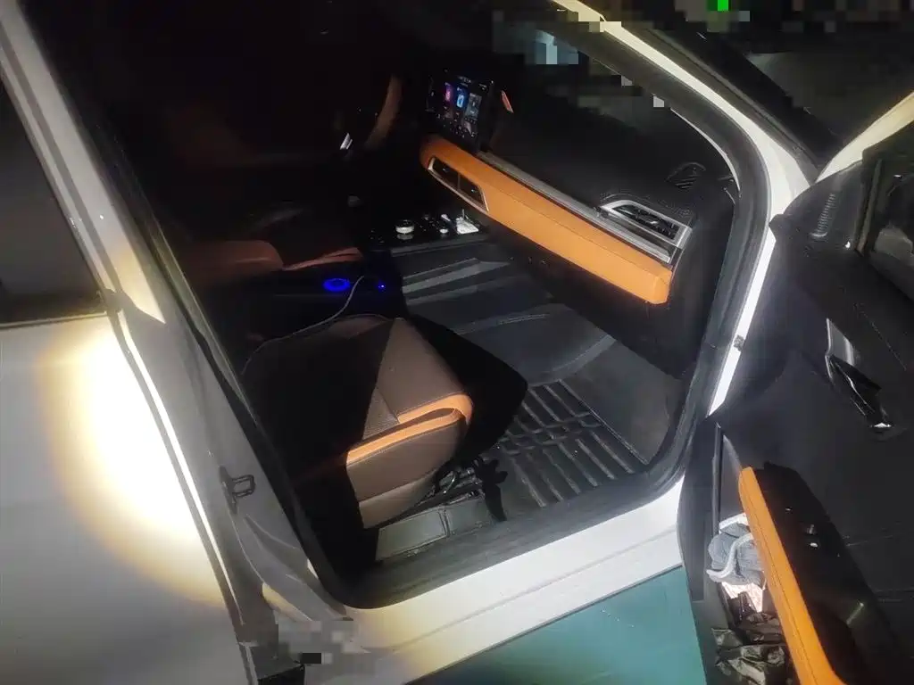 BYD e2 2021 Luxury Edition фото 21